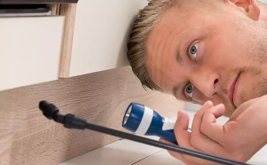 Top-Notch Pest Control in Alpharetta