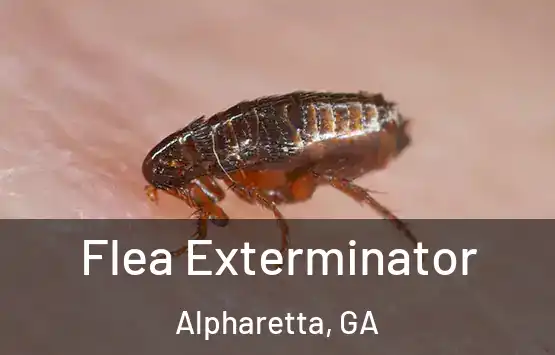  Flea Exterminator Alpharetta, GA