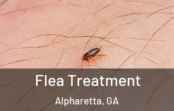  Flea Treatment Alpharetta, GA