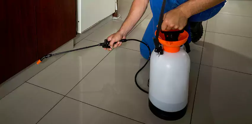 Commercial Pest Extermination for Offices in Alpharetta, GA