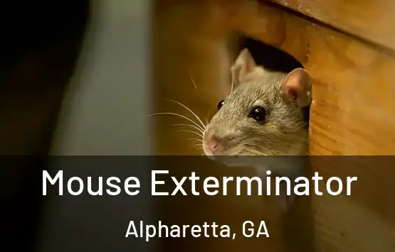  Mouse Exterminator Alpharetta, GA