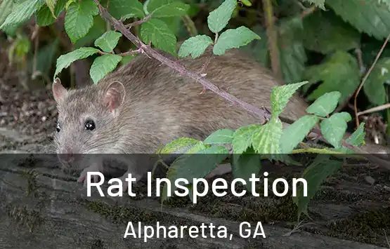  Rat Inspection Alpharetta, GA