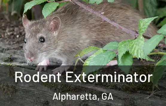  Rodent Exterminator Alpharetta, GA