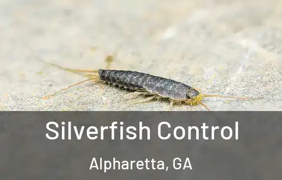  Silverfish Control Alpharetta, GA