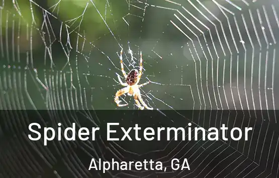  Spider Exterminator Alpharetta, GA