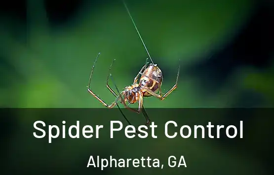  Spider Pest Control Alpharetta, GA