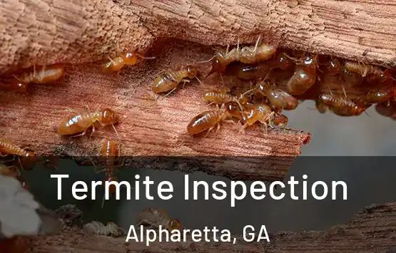  Termite Inspection Alpharetta, GA