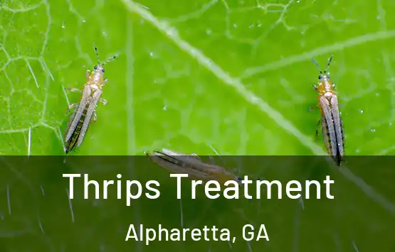  Thrips Treatment Alpharetta, GA