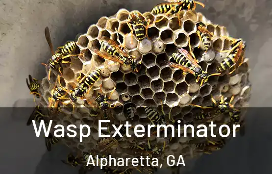  Wasp Exterminator Alpharetta, GA