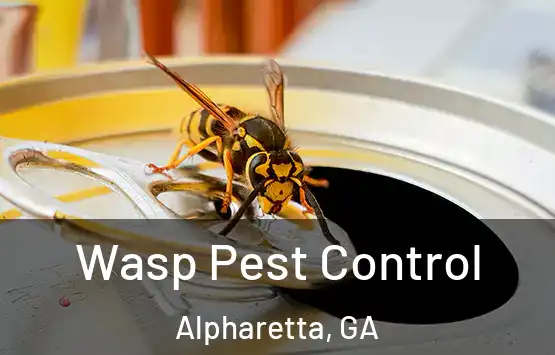  Wasp Pest Control Alpharetta, GA