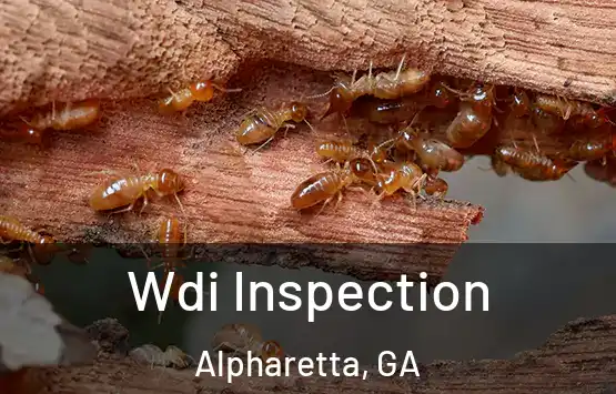  Wdi Inspection Alpharetta, GA